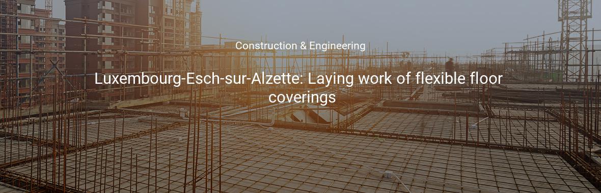 Luxembourg-Esch-sur-Alzette: Laying work of flexible floor coverings