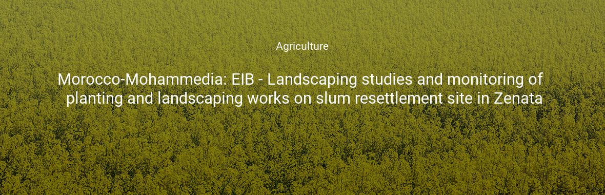 Morocco-Mohammedia: EIB - Landscaping studies and monitoring of planting and landscaping works on slum resettlement site in Zenata