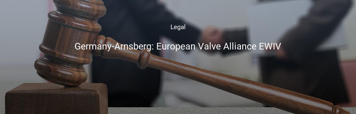 Germany-Arnsberg: European Valve Alliance EWIV
