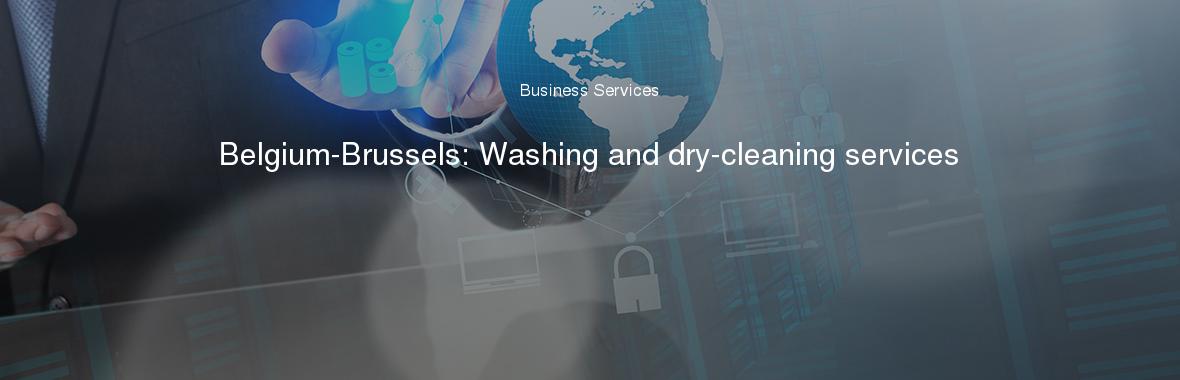 Belgium-Brussels: Washing and dry-cleaning services