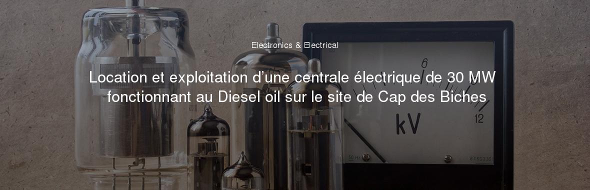 Location et exploitation d’une centrale électrique de 30 MW fonctionnant au Diesel oil sur le site de Cap des Biches