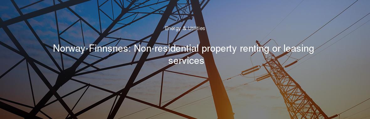 Norway-Finnsnes: Non-residential property renting or leasing services