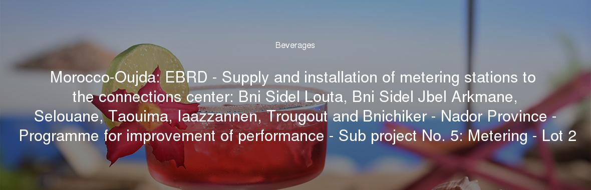Morocco-Oujda: EBRD - Supply and installation of metering stations to the connections center: Bni Sidel Louta, Bni Sidel Jbel Arkmane, Selouane, Taouima, Iaazzannen, Trougout and Bnichiker - Nador Province - Programme for improvement of performance - Sub project No. 5: Metering - Lot 2