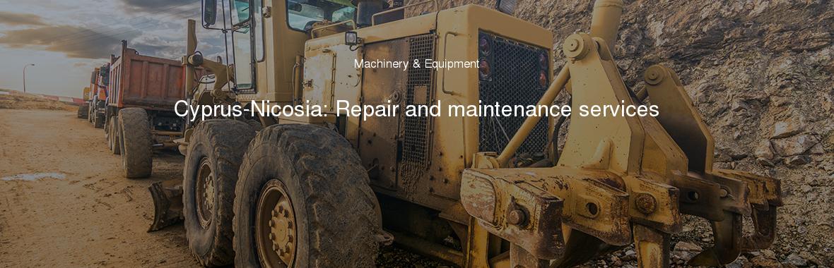 Cyprus-Nicosia: Repair and maintenance services