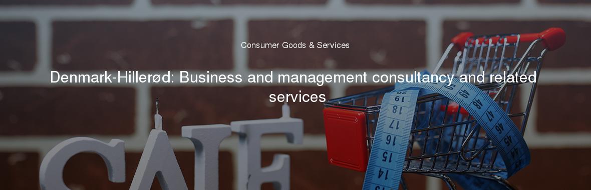 Denmark-Hillerød: Business and management consultancy and related services