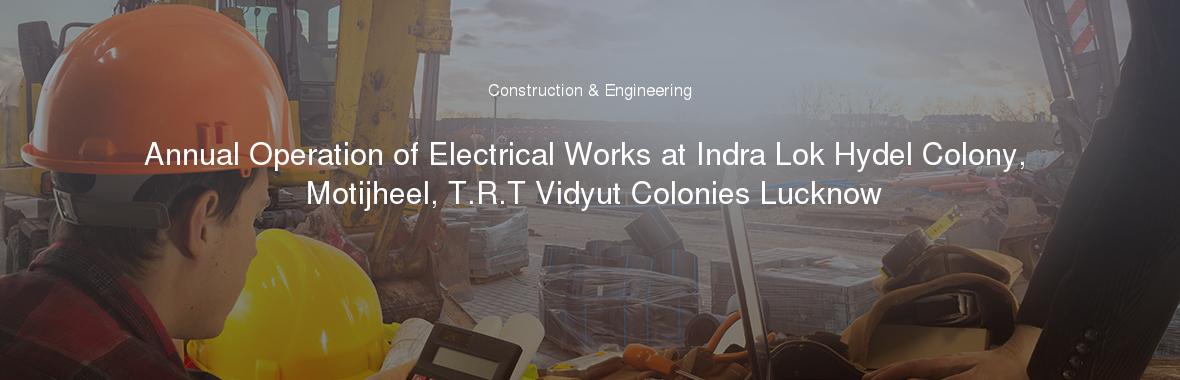 Annual Operation of Electrical Works at Indra Lok Hydel Colony, Motijheel, T.R.T Vidyut Colonies Lucknow