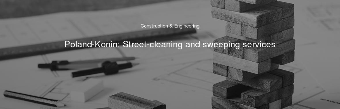 Poland-Konin: Street-cleaning and sweeping services