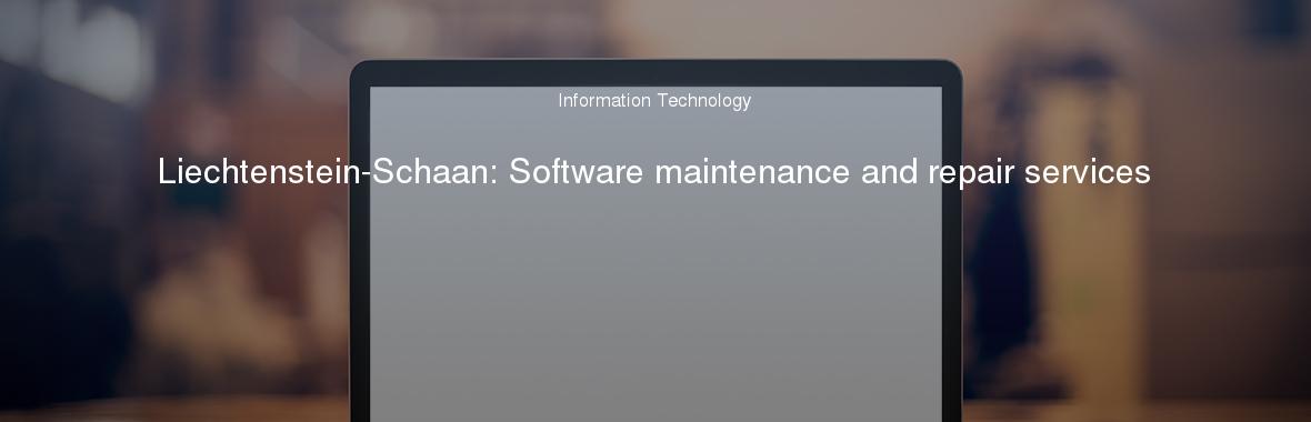 Liechtenstein-Schaan: Software maintenance and repair services