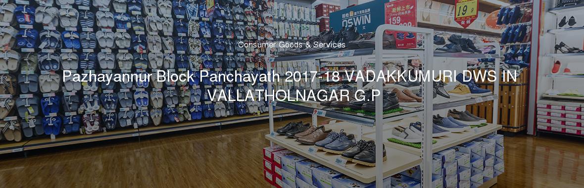 Pazhayannur Block Panchayath 2017-18 VADAKKUMURI DWS IN VALLATHOLNAGAR G.P