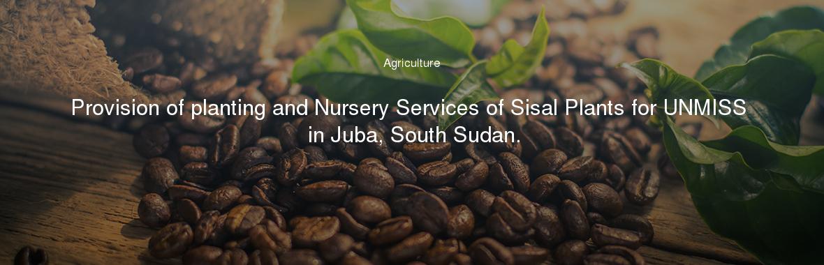 Provision of planting and Nursery Services of Sisal Plants for UNMISS in Juba, South Sudan.