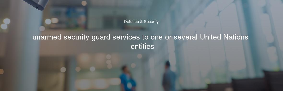 unarmed security guard services to one or several United Nations entities