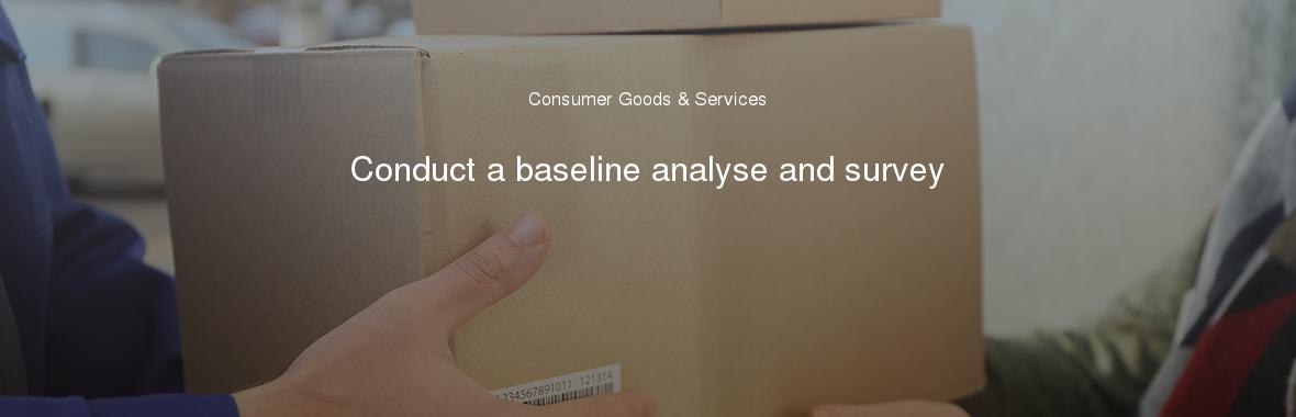 Conduct a baseline analyse and survey