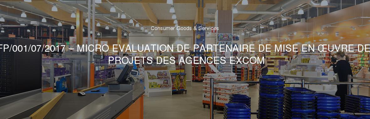 RFP/001/07/2017 – MICRO EVALUATION DE PARTENAIRE DE MISE EN ŒUVRE DES PROJETS DES AGENCES EXCOM