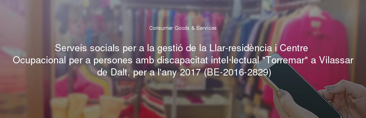 Serveis socials per a la gestió de la Llar-residència i Centre Ocupacional per a persones amb discapacitat intel·lectual "Torremar" a Vilassar de Dalt, per a l'any 2017 (BE-2016-2829)