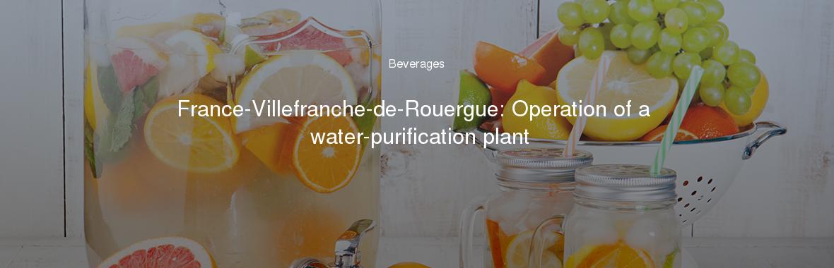 France-Villefranche-de-Rouergue: Operation of a water-purification plant