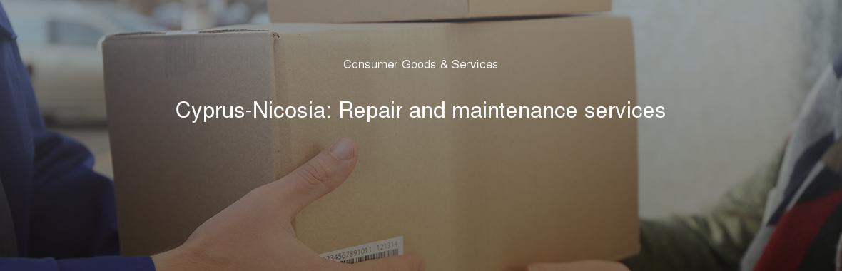 Cyprus-Nicosia: Repair and maintenance services