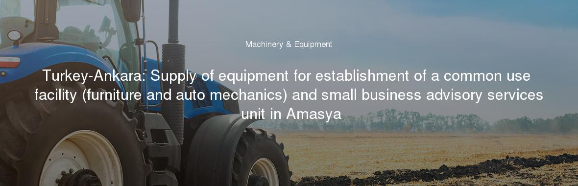 Turkey-Ankara: Supply of equipment for establishment of a common use facility (furniture and auto mechanics) and small business advisory services unit in Amasya