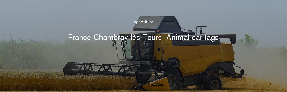France-Chambray-lès-Tours: Animal ear tags