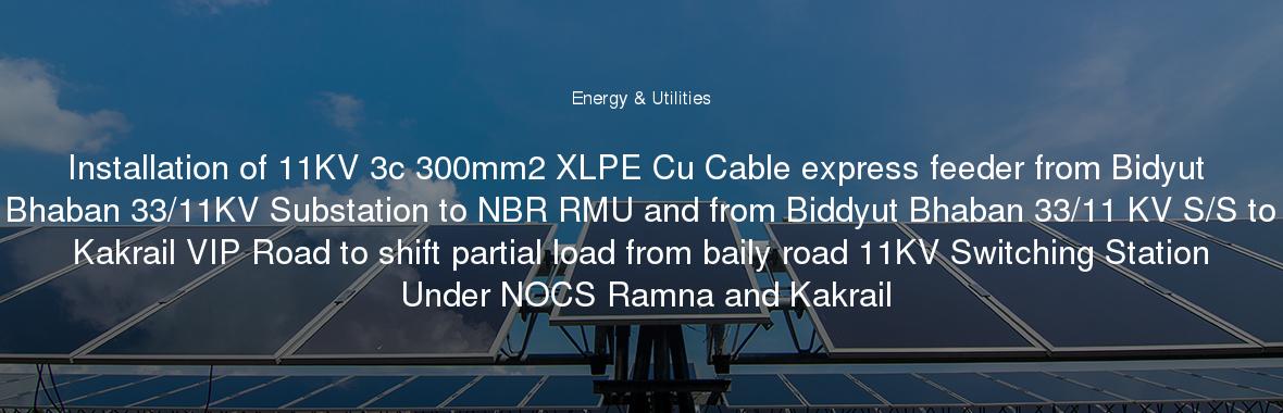 Installation of 11KV 3c 300mm2 XLPE Cu Cable express feeder from Bidyut Bhaban 33/11KV Substation to NBR RMU and from Biddyut Bhaban 33/11 KV S/S to Kakrail VIP Road to shift partial load from baily road 11KV Switching Station Under NOCS Ramna and Kakrail