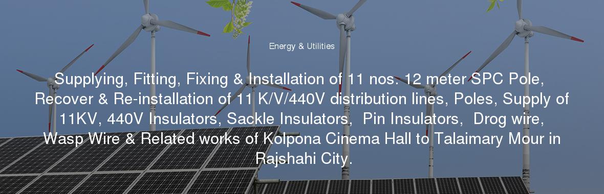 Supplying, Fitting, Fixing & Installation of 11 nos. 12 meter SPC Pole, Recover & Re-installation of 11 K/V/440V distribution lines, Poles, Supply of 11KV, 440V Insulators, Sackle Insulators,  Pin Insulators,  Drog wire, Wasp Wire & Related works of Kolpona Cinema Hall to Talaimary Mour in Rajshahi City.