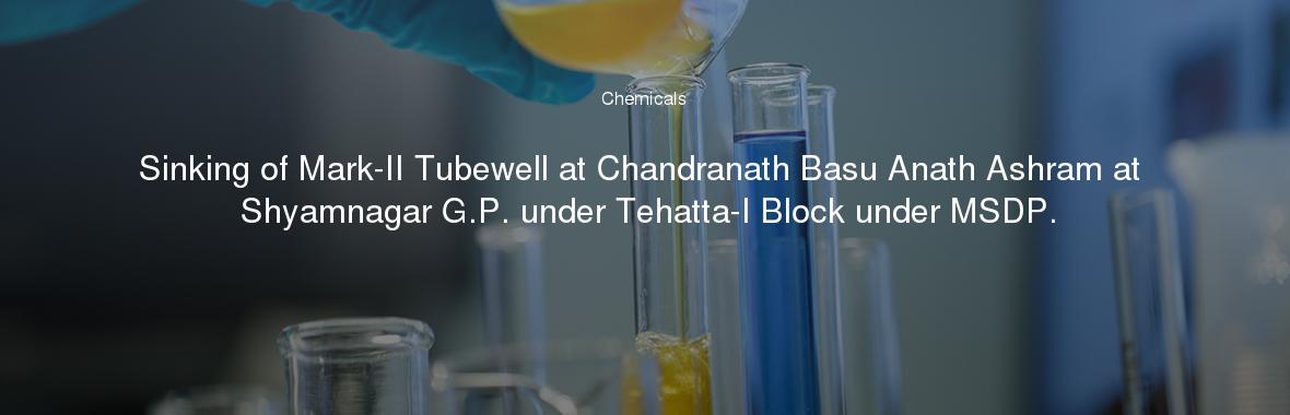 Sinking of Mark-II Tubewell at Chandranath Basu Anath Ashram at Shyamnagar G.P. under Tehatta-I Block under MSDP.
