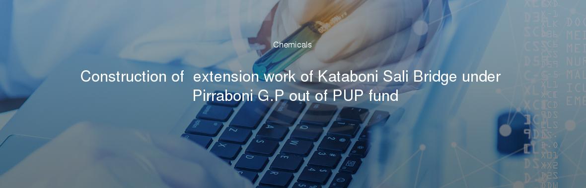 Construction of  extension work of Kataboni Sali Bridge under Pirraboni G.P out of PUP fund