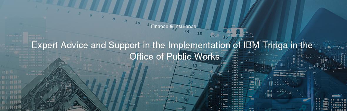 Expert Advice and Support in the Implementation of IBM Tririga in the Office of Public Works