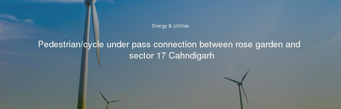 Pedestrian/cycle under pass connection between rose garden and sector 17 Cahndigarh
