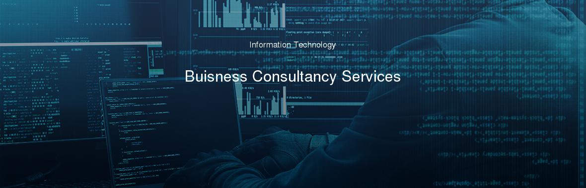 Buisness Consultancy Services