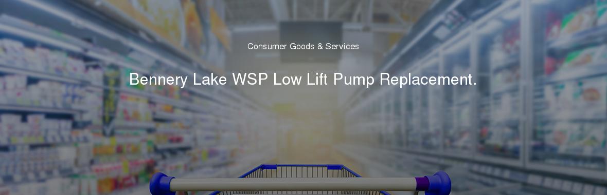 Bennery Lake WSP Low Lift Pump Replacement.