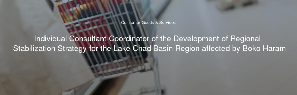 Individual Consultant-Coordinator of the Development of Regional Stabilization Strategy for the Lake Chad Basin Region affected by Boko Haram