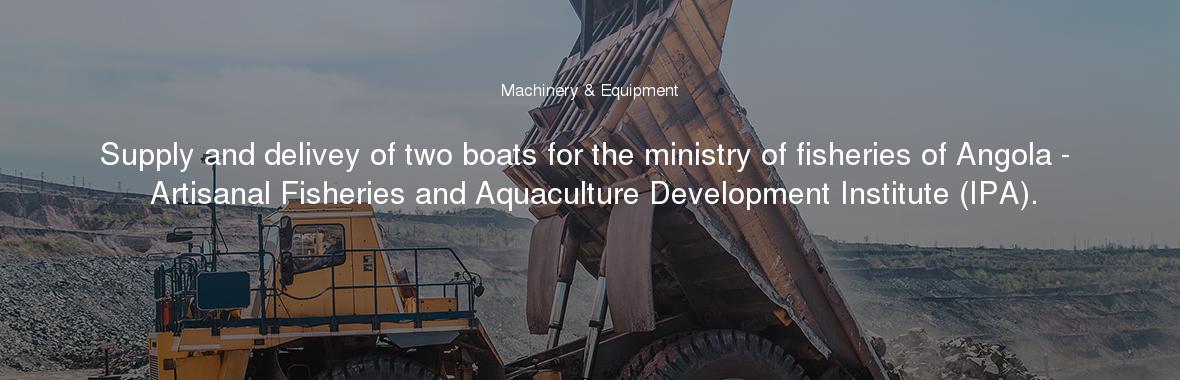 Supply and delivey of two boats for the ministry of fisheries of Angola - Artisanal Fisheries and Aquaculture Development Institute (IPA).