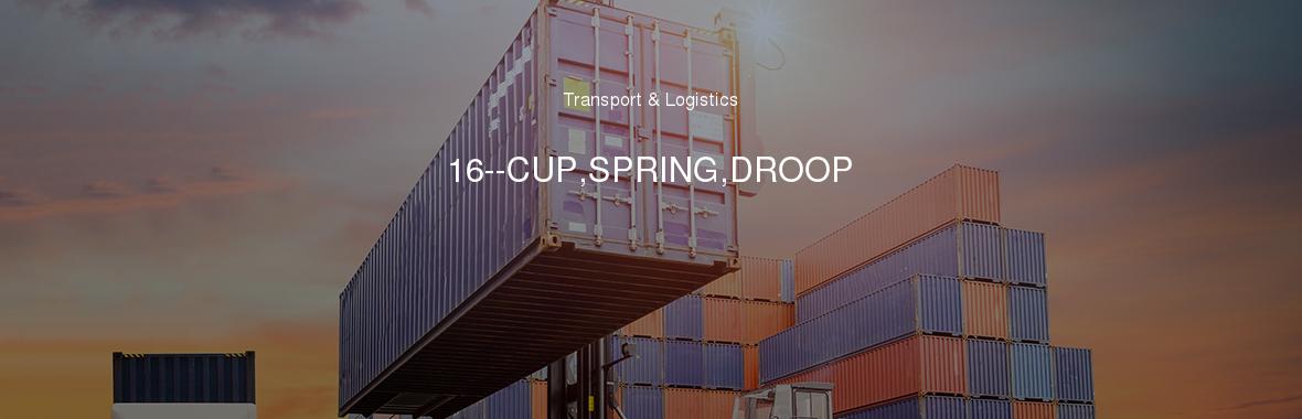 16--CUP,SPRING,DROOP