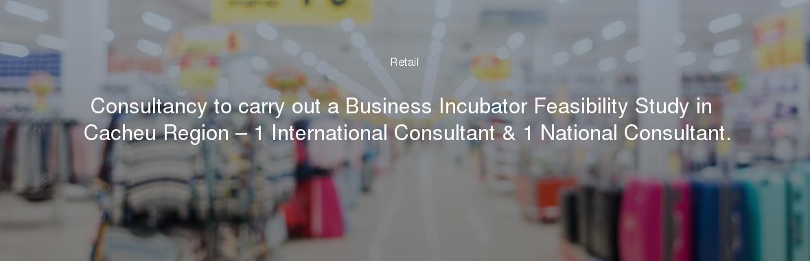 Consultancy to carry out a Business Incubator Feasibility Study in Cacheu Region – 1 International Consultant & 1 National Consultant.