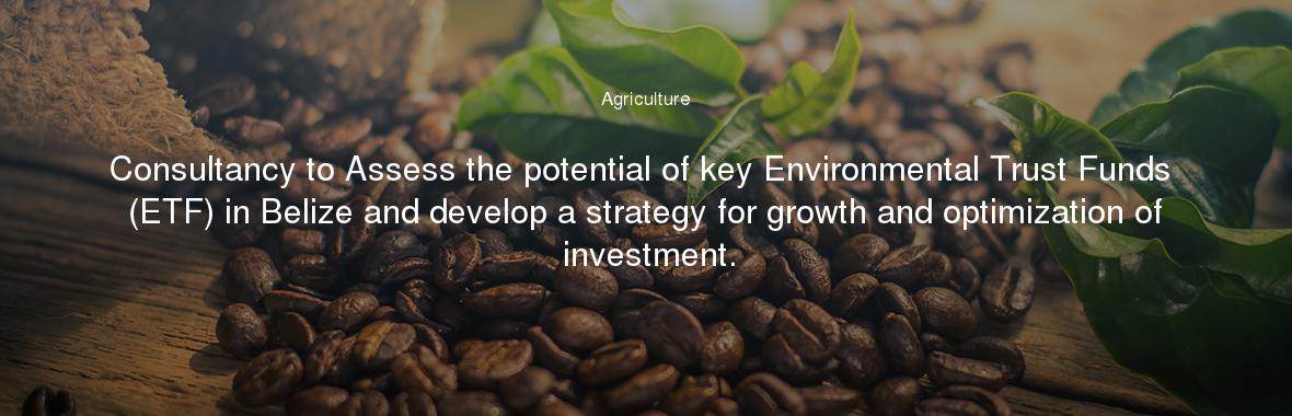 Consultancy to Assess the potential of key Environmental Trust Funds (ETF) in Belize and develop a strategy for growth and optimization of investment.