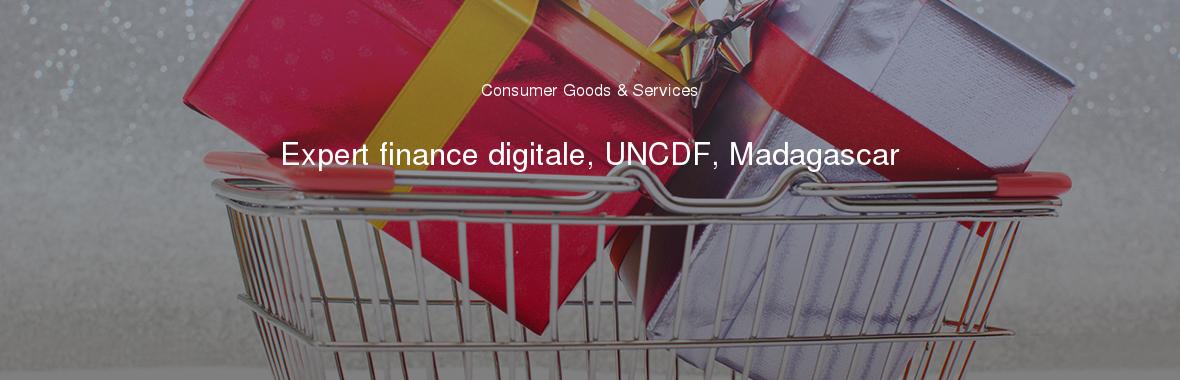 Expert finance digitale, UNCDF, Madagascar