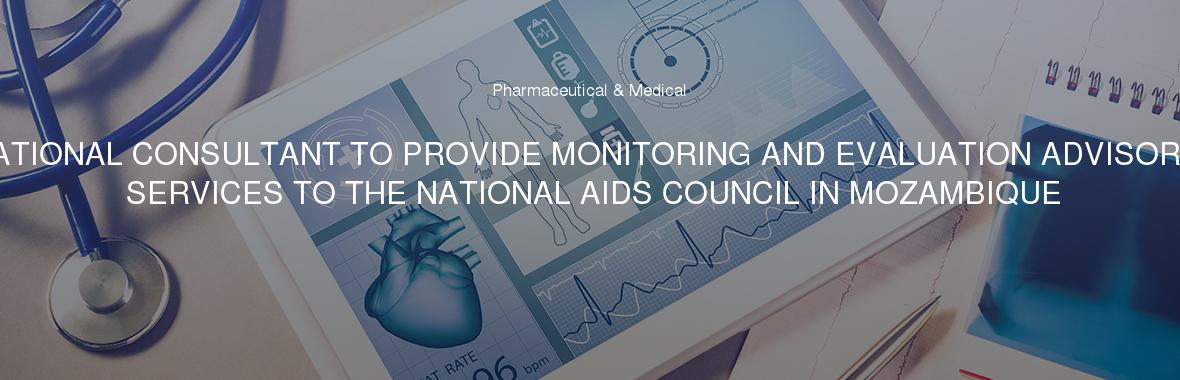 NATIONAL CONSULTANT TO PROVIDE MONITORING AND EVALUATION ADVISORY SERVICES TO THE NATIONAL AIDS COUNCIL IN MOZAMBIQUE