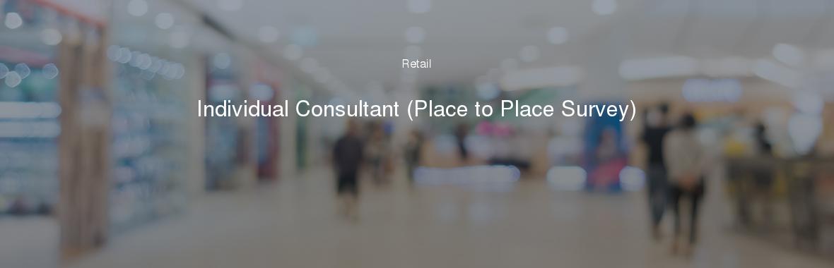Individual Consultant (Place to Place Survey)