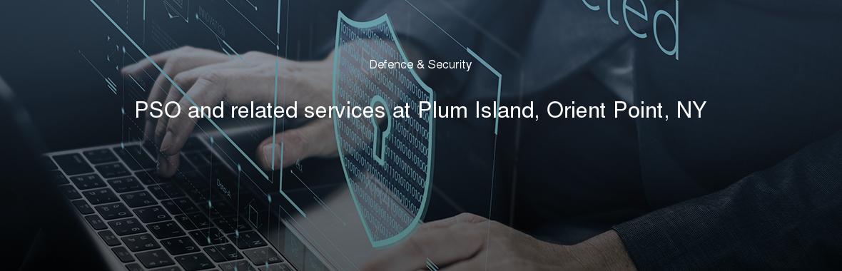 PSO and related services at Plum Island, Orient Point, NY