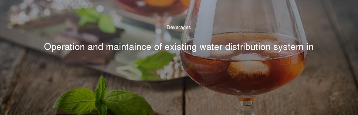 Operation and maintaince of existing water distribution system in