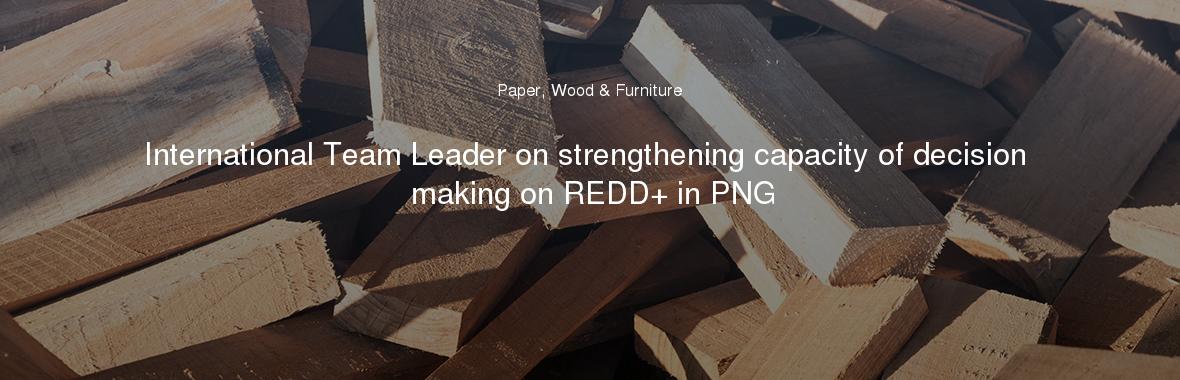 International Team Leader on strengthening capacity of decision making on REDD+ in PNG
