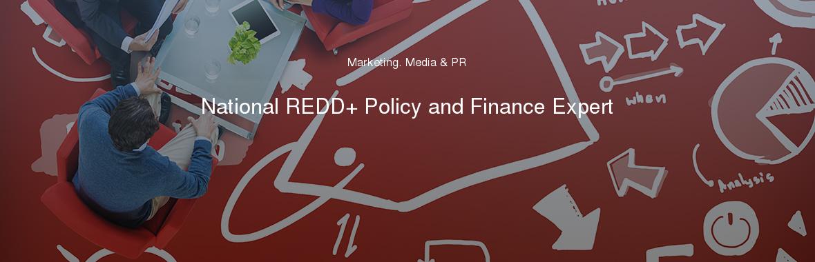 National REDD+ Policy and Finance Expert