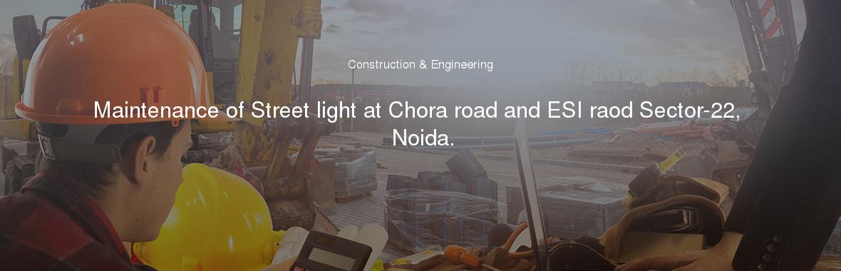 Maintenance of Street light at Chora road and ESI raod Sector-22, Noida.