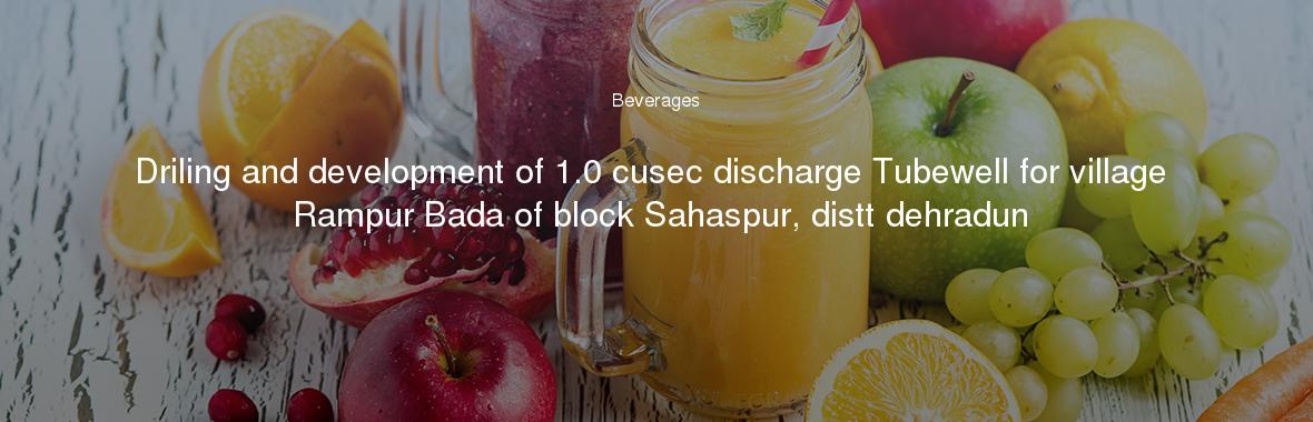 Driling and development of 1.0 cusec discharge Tubewell for village Rampur Bada of block Sahaspur, distt dehradun