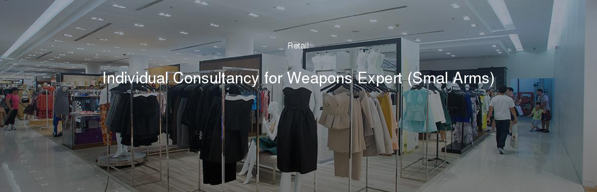 Individual Consultancy for Weapons Expert (Smal Arms)