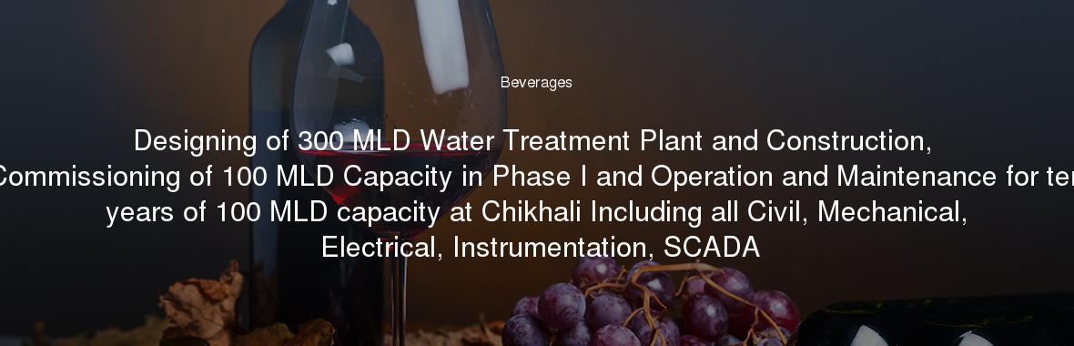 Designing of 300 MLD Water Treatment Plant and Construction, Commissioning of 100 MLD Capacity in Phase I and Operation and Maintenance for ten years of 100 MLD capacity at Chikhali Including all Civil, Mechanical, Electrical, Instrumentation, SCADA