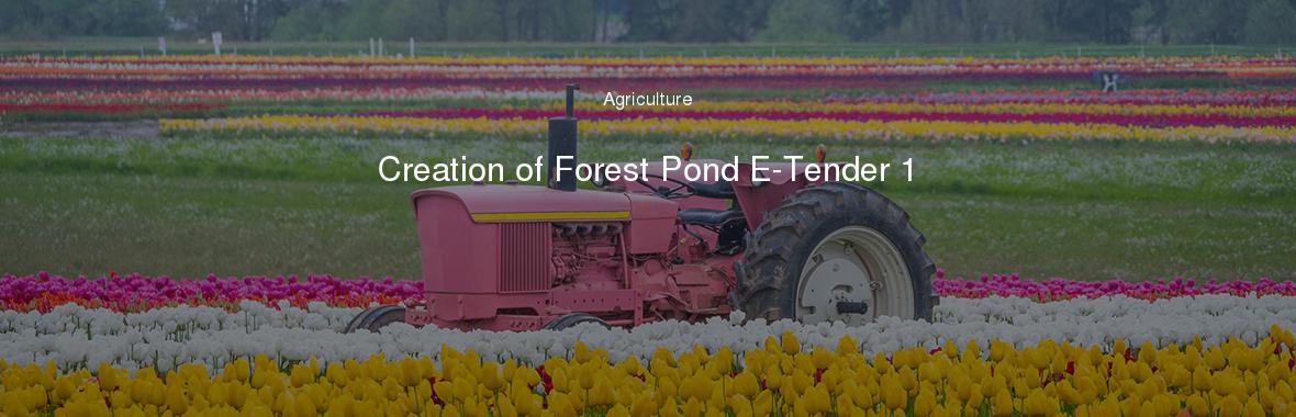 Creation of Forest Pond E-Tender 1