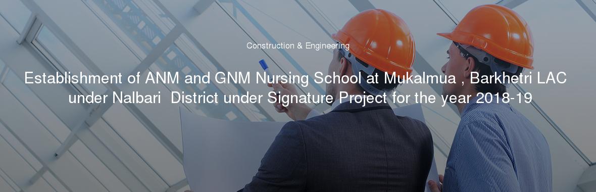 Establishment of ANM and GNM Nursing School at Mukalmua , Barkhetri LAC under Nalbari  District under Signature Project for the year 2018-19