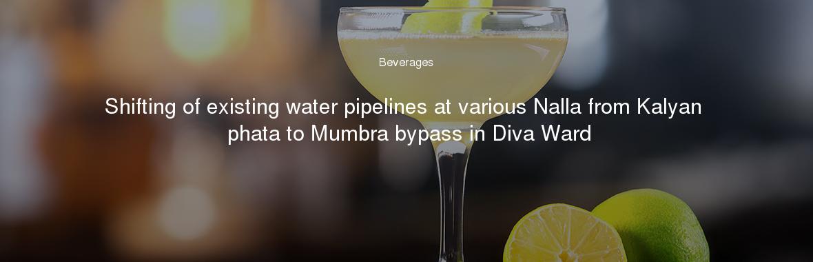 Shifting of existing water pipelines at various Nalla from Kalyan phata to Mumbra bypass in Diva Ward