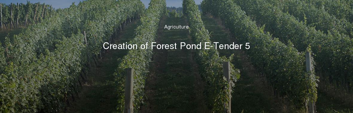 Creation of Forest Pond E-Tender 5